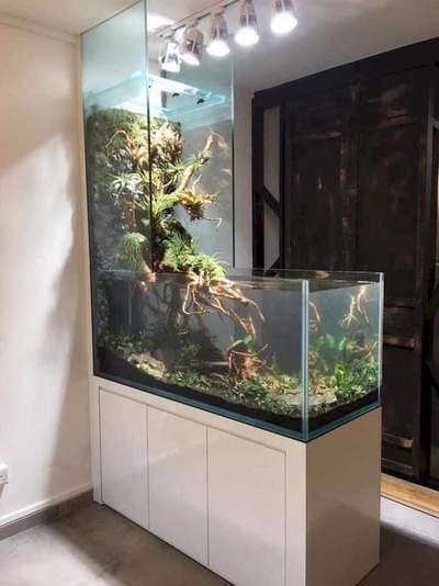 Amazing aquarium design