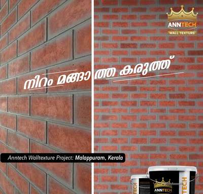 # ANNTECH ന്റെ WALL TEXTUR