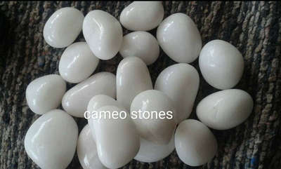 white Polished pebbles...

Providing different types of natural paving stones.

𝙲𝙰𝙼𝙴𝙾 𝚂𝚃𝙾𝙽𝙴𝚂
𝙿𝚊𝚍𝚒𝚟𝚊𝚝𝚝𝚘𝚖,𝙴𝚎𝚍𝚊𝚙𝚊𝚕𝚕𝚢, 𝙴𝚛𝚗𝚊𝚔𝚞𝚕𝚊𝚖
📞 𝟿𝟿𝟺𝟽𝟷𝟷𝟹𝟶𝟶𝟽, 📞 𝟿𝟿𝟺𝟽𝟶𝟹𝟼𝟶𝟶𝟽
📨 𝚒𝚗𝚏𝚘@𝚌𝚊𝚖𝚎𝚘𝚜𝚝𝚘𝚗𝚎𝚜.𝚒𝚗
🌍 𝚠𝚠𝚠.𝚌𝚊𝚖𝚎𝚘𝚜𝚝𝚘𝚗𝚎𝚜.𝚒𝚗

#pebbles #gardenpebbles #naturalstonespebbles #stonecladding #architecturedesign #cameostones #landscape  #naturelpebbles #outdoorpaving#homedesignideas #polishedpebble #unpolishedpebbles