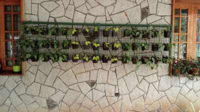 #VerticalGarden cheythu kodukunu