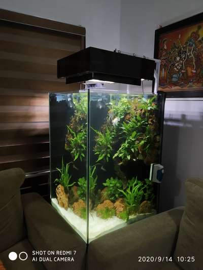 Hardscaping aquarium