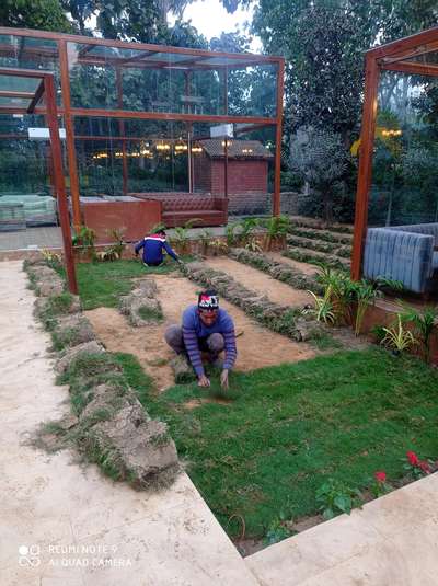 orignal lawn grass  carpet roll for garden very low price instalation free 
 all over India supply 6395982651
#NaturalGrass #pebbelea#landscaping#trees