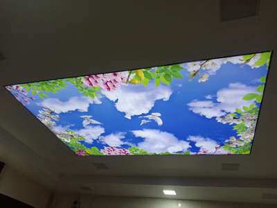 #stretch fabric ceiling work Indore MP