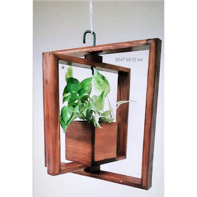 #teak_wood #IndoorPlants