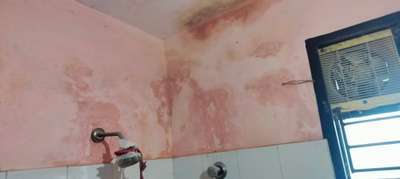bathroom ലീക്ക് മാറ്റാം, ഗ്യാരണ്ടിയോടുകൂടി...