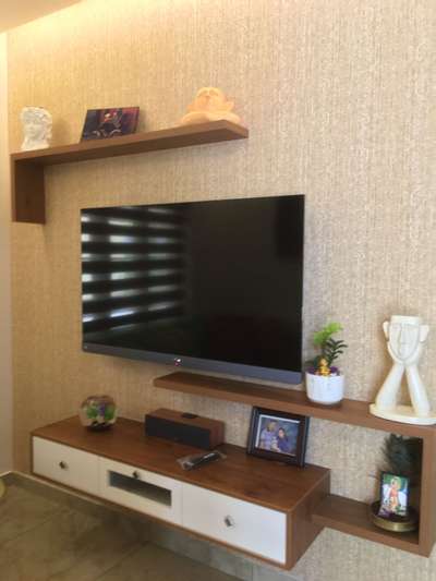 TV unit