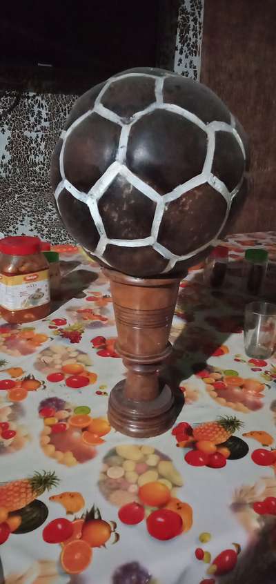 coconut Shel craft
