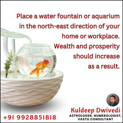 Place a water fountain or aquarium in the north-east direction of your home or workplace. Wealth and prosperity should increase as a result.

अपने घर या कार्यस्थल के उत्तर-पूर्व दिशा में एक जल फव्वारा या मछलीघर रखें। इससे धन और समृद्धि की वृद्धि होने की उम्मीद होती है।
.
.
.
#astrology #astrologer_in_kota #Astrologer #Vastu #Numerologist #vastuexpert Vastushastra vastusolution Vastu_for_home #vastu_for_office #vastu_for_workplace #aquarium #fish_aquarim #fountain #astrokuldeep #astrologer_in_udaipur
#NationalChocolateChip Day
#subamgil
#Vickykausal