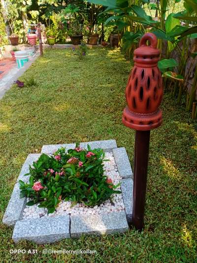 #verigated #PearlGrass  #ixora #calathia #hurricane lamp