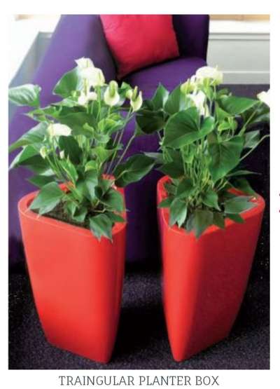 FIBRE GLASS PLANTER POT