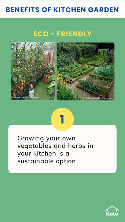 Grow your own herbs and vegetables in a kitchen garden.

Tap ➡️ to learn more about the benefits of a kitchen garden.

Let’s take a step towards a sustainable planet with our new series. 🙂

Learn tips, tricks and details on Home construction with Kolo Education 👍🏼

If our content has helped you, do tell us how in the comments ⤵️

Follow us on @koloeducation to learn more!!!

#education #architecture #construction  #building #exterior #design #home #interior #expert #sustainability #koloeducation #kitchen #garden #ecofriendly