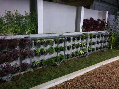 vertical garden #VerticalGarden  #LandscapeGarden