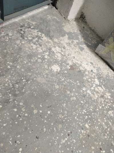 tiles mistree chahiye hai urgent 
gurgaon me