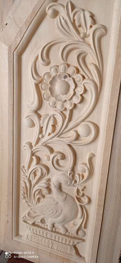 #SemiTraditionalStyle  door design