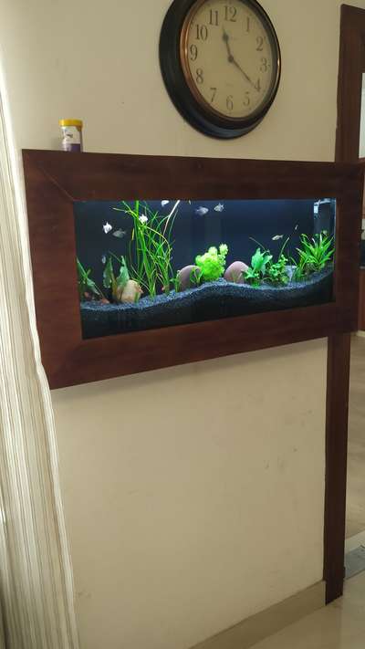 plasma aquarium
#Marvelaquasystem #marvelaquarium #plantedaquariummalayalam #GreenAqua #Aquarium #Aquascaping #Aquascape #NatureAquarium #PlantedTankmalayalam #Aquariumplants #Aquaticplants #aquascapingshop #Aquascapeforbeginners #Aquascapinghowto #aquariums #paludarium #nano #homedesign #homedecor #landscape #relaxation #wabikusa #jurjis #georgefarmerchillujalakam #ada #oliverknot #serpaedesigns #mayurdev #aquascaper