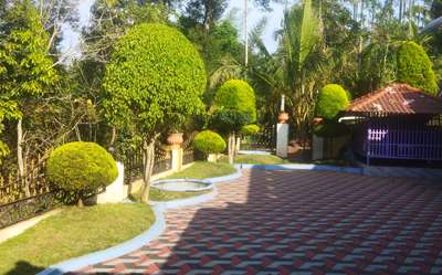 സർവീസുകൾ ചെയ്തു മനോഹരമാക്കി നിലനിർത്തുന്ന ഒരു ഗാർഡൻ