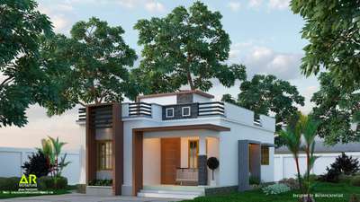 800 sqf small house 
2bed room
hall/dining 
kitchen 
cost