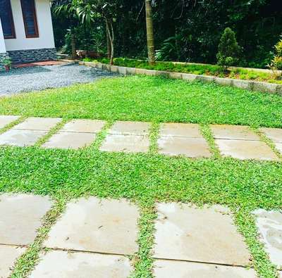 #PearlGrass  #MexicanGrass  #Lawncare  #LandscapeGarden  #LandscapeGarden  #landscapearchitecture  #naturalstones  #