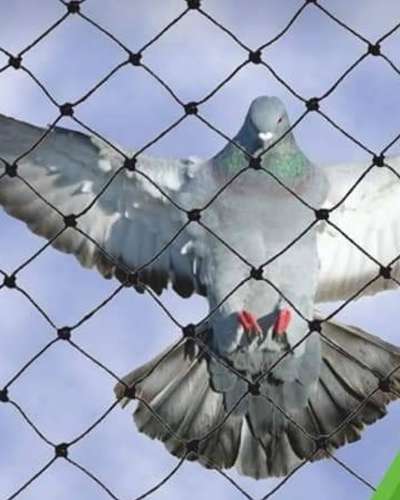 Bird net service & pest control 
Bird spike & monkey spike
Call 9315340210
Delhi,gurugram,noida, faridabad ,gaziyabad