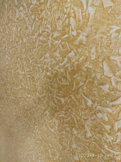Top-notch gold 60 seq fit