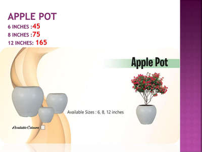 Apple pot,

 #apple#delhi #planters #plants #FlowerGarden #RoseGarden  #BalconyGarden #gardeningislife #planters #planthome #marblcecolor#pots