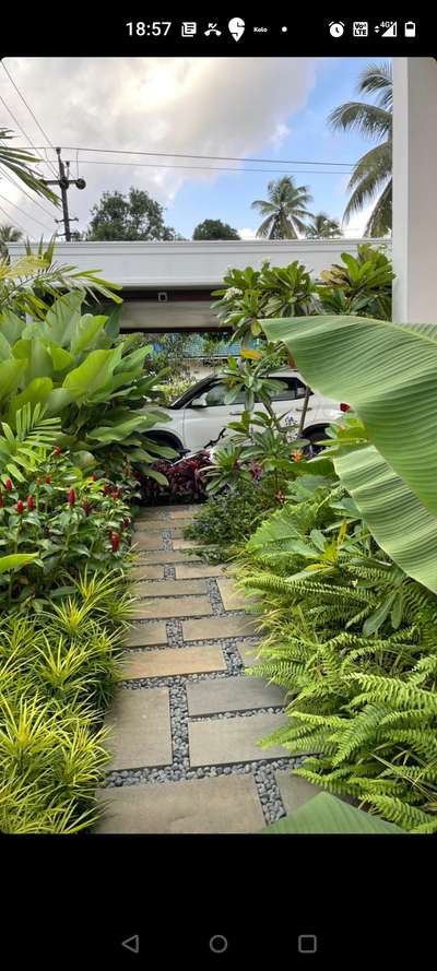 *Lanscaping *
we are providing 6 month free maintenance