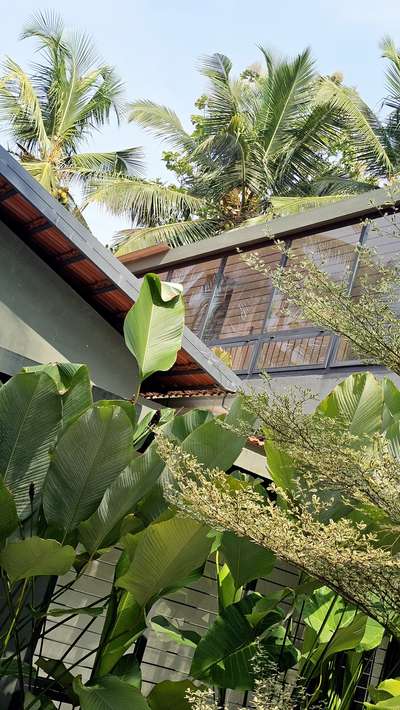outdoor Courtyard 

#courtyardhouse #greenhome #greenary