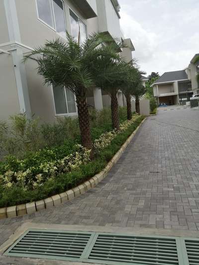AJL homes Aluva villa project. Beautiful Landscape Date palm with shrubs arrangements more enquiry contact @AG. all Kerala service available.low price
