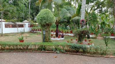 Garden mainantance Repotting plant cutting
grass cutting
fertilizing
All kerala cheythu kodukunu