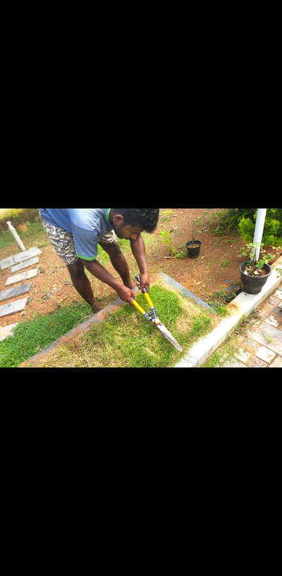 #LandscapeGarden  #service garden #gardening