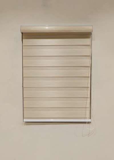 mushroom #zebracurtain blinds
