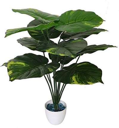 Areca Palm Tree with 12 Long Leaves Artificial Plant with Pot (48 cm, Green, Yellow)
for buy online link 
https://amzn.to/3Yx1a7Y
for more information watch video
https://youtu.be/YDXLr4PUVL8