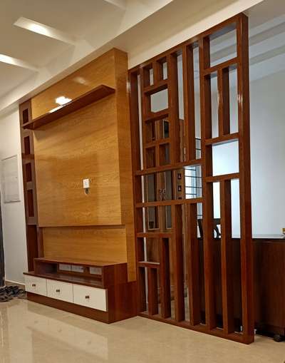 tv unit with partition 
#tvunits  #partitiondesign  #hallpartition