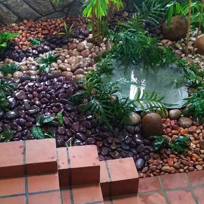 glitter designz landscape & pools
tvm, poojapura

contact: 9447447618,
                7012547317 
 #garden  #VerticalGarden  #RoseGarden  #BalconyGarden  #FlowerGarden  #KitchenGarden  #RockGarden  #gardendesigner  #gardening  #gardenstone  #MexicanGrass  #zoasisgreengrass  #LandscapeGarden  #pebbleswork  #plantsofinstagram 
https://koloapp.in/posts/1628774335