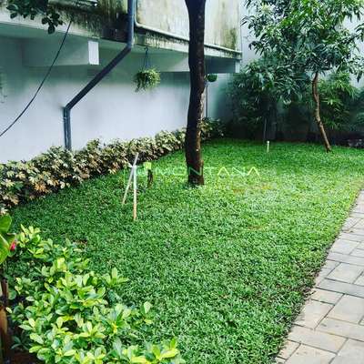 #montanalandscape  #Landscape  #LandscapeIdeas  #landscapearchitecture  #pearlgras  #lawns  #BuffaloGrass  #gardendesigns  #maintainence  #BangaloreStone  #MexicanGrass  #Lawncare  #pavingstone