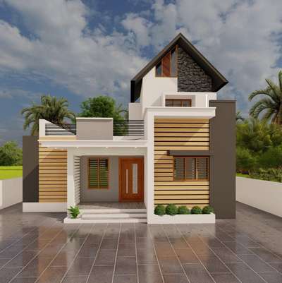 Next 3d design @ Thenkurussi #mixed type home #kerala mode #