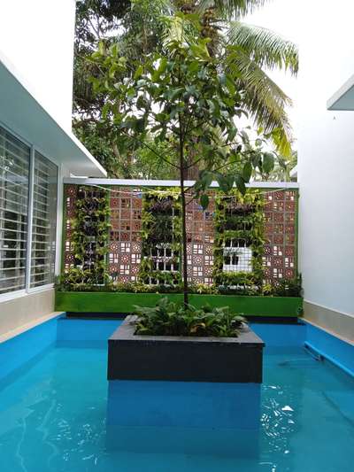 vertical garden with pool 
.
.
.
.
 #akshayathegardeners