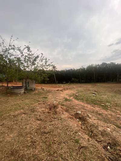 Plot development at kilimanoor #realtors #realestate