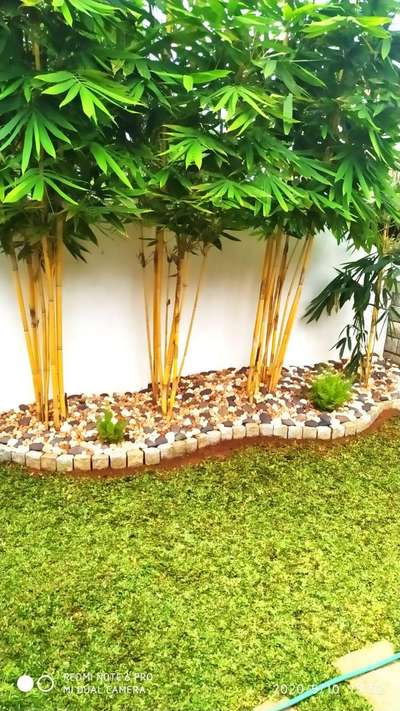 #LandscapeIdeas  #GardeningIdeas