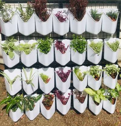 vertikkal garden pots 

9946455152