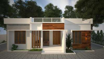 budget home 1300sq.new 3D