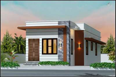 850 Sqft.  #budget_home #3centPlot