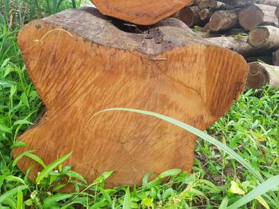 Uripp timber logs
contact : 9447077102