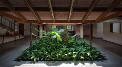 #courtyardgarden #courtyard  #greenery  #greenspecialhomes #greenhome #positive #vibe #homegarden #IndoorPlants #plants #naturefriendly #naturehome #naturelove