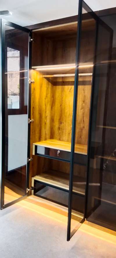 Black Tinted Glass Wardrobe