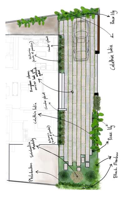 Landscape sketch for residence at Arimbur,  Thrissur
.
.
#LandscapeIdeas #sketching #LandscapeGarden #architecturedesigns #landscapingforhouses