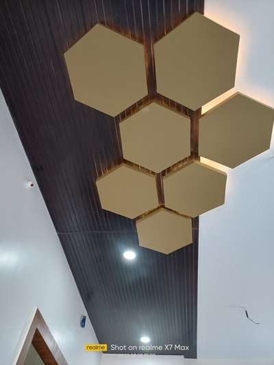 gypsum board false ceilings and PVC panels