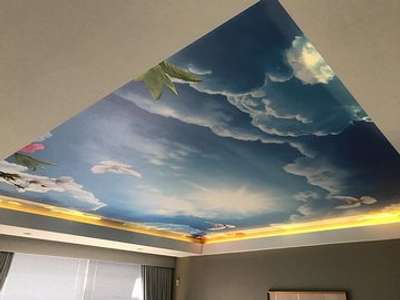 ceiling wallpaper design by hardeep saini kaithal 
 #hardeepsainikaithal  #ceilingwallpaper  #ceilingwallpaperdesign  #customisedwallpaper  #newdesignwallpaper  #Trending  #interiordesigner  #homedecor  #delhi  #chandigarh  #kaithal