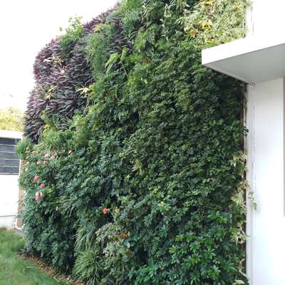 * vertical garden setting *
Technowall 
turnkey basis