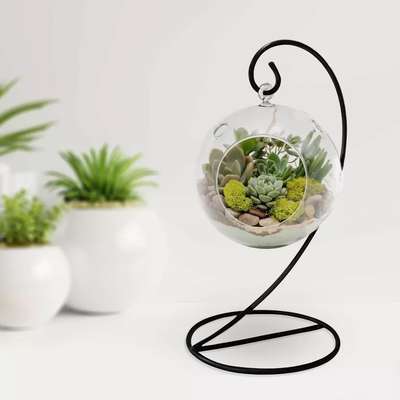 Leafy Dew Clear Globe Shape Glass Terrarium  with Hanging Black Iron Pot Stand Tea Light Candle Holder Planter
#interior #decor #ideas #home #interiordesign #indian #colourful #decorshopping